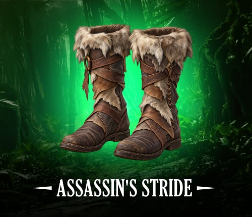 D4 ASSASSIN'S STRIDE